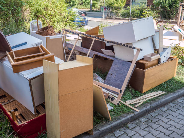 Best Electronics Removal Services  in Spirit Lake, IA